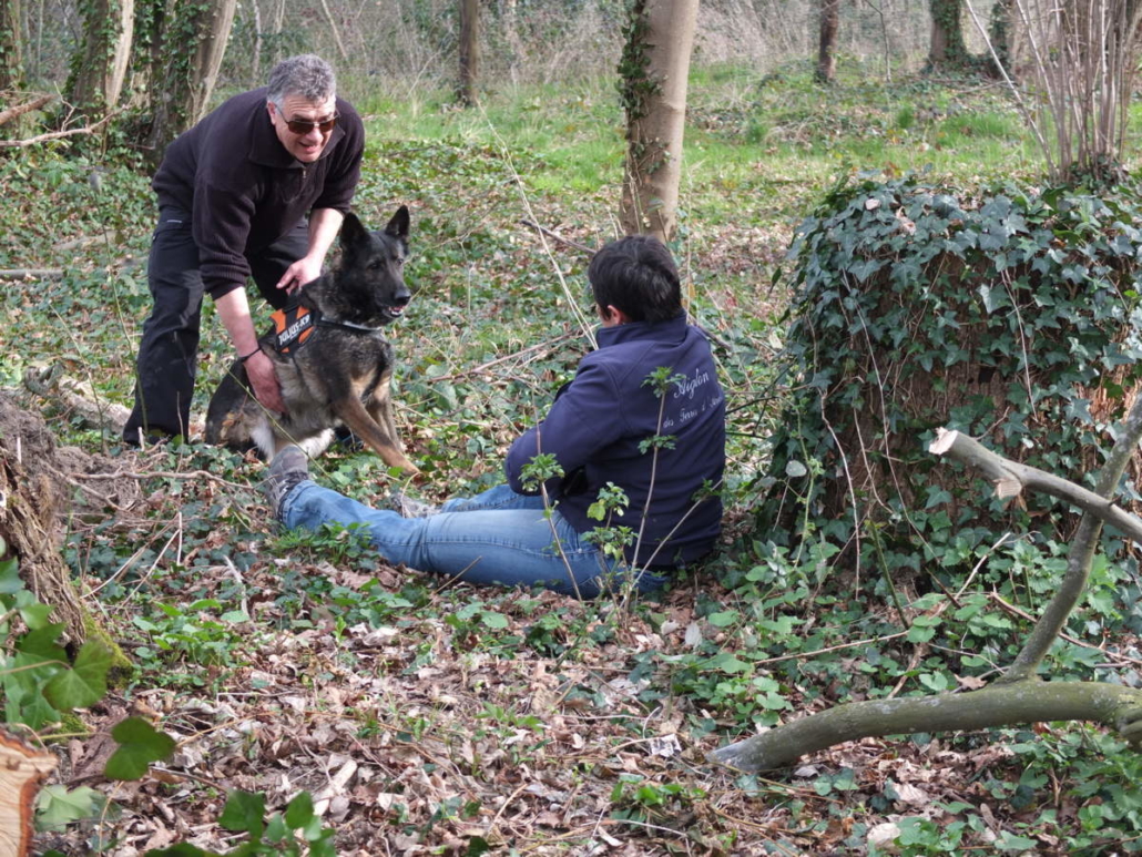 Concours de chiens de recherches en campagne à Brières